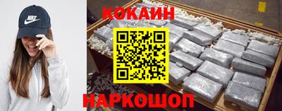 стафф Кингисепп