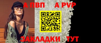 стафф Кингисепп