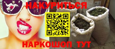 стафф Кингисепп