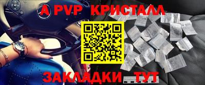 стафф Кингисепп