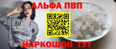 стафф Кингисепп