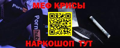 стафф Кингисепп
