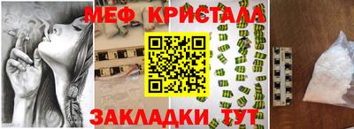 стафф Кингисепп