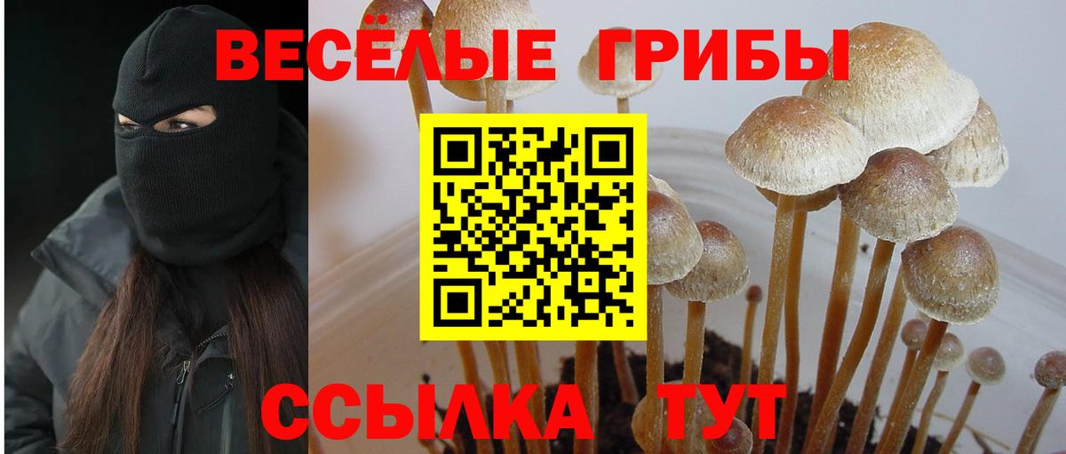 Галлюциногенные грибы GOLDEN TEACHER Кудрово