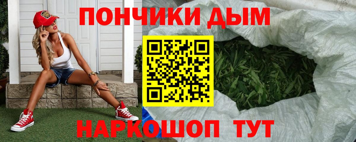 Конопля ГИДРОПОН  Каннабис сатива  Каннабис гибрид  Кудрово  МАРИХУАНА VHQ  Вход с VPN 